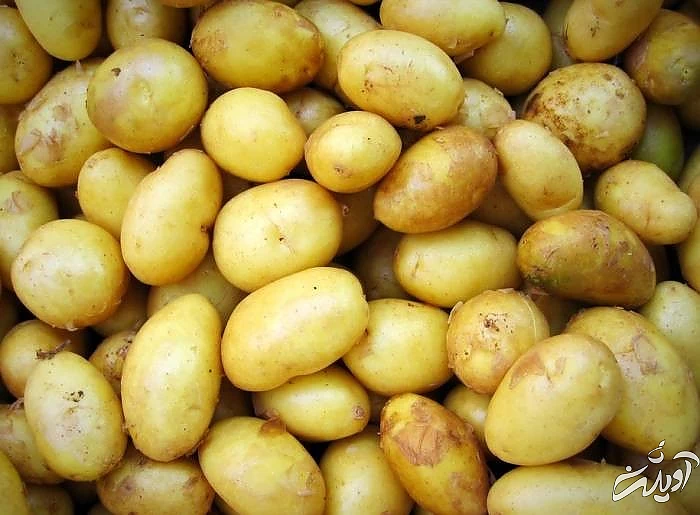 سیب زمینی شیرین